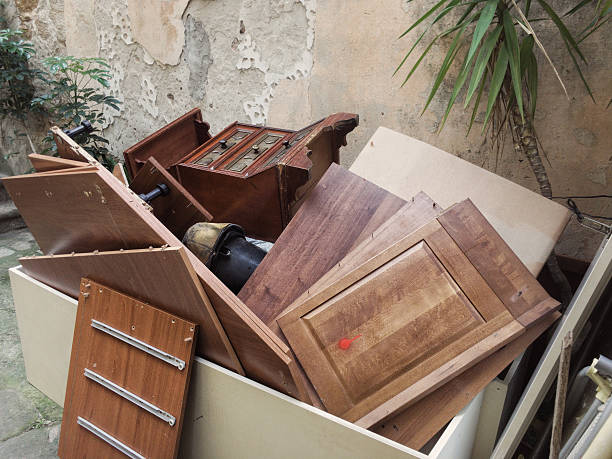 Yard Cleanup Services in Lake Goodwin, WA